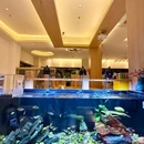 浅草·鱼蔵日本料理(七七街店) - 大连市旅游 缩略图 9