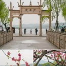 苏堤 - 杭州市旅游 缩略图 5