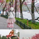 苏堤 - 杭州市旅游 缩略图 3