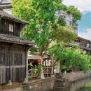 乾元古玩城 - 湖州市旅游 缩略图 6
