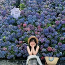 苏州上方山国家森林公园 - 苏州市旅游 缩略图 2