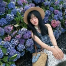 苏州上方山国家森林公园 - 苏州市旅游 缩略图 5