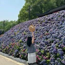 苏州上方山国家森林公园 - 苏州市旅游 缩略图 6