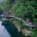 顺溪镇 - 温州市旅游 缩略图 4