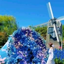 世界花卉大观园 - 北京市旅游 缩略图 9