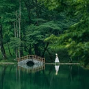 鹿池风景区 - 雅安市旅游 缩略图 8