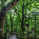 桐君山 - 杭州市旅游 缩略图 2