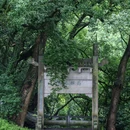 桐君山 - 杭州市旅游 缩略图 9