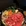 西安市·友联食所friends union(未央国际店)