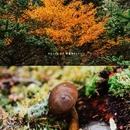 无底湖风景区 - 迪庆藏族自治州旅游 缩略图 7