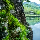 上海村 - 绍兴市旅游 缩略图 5