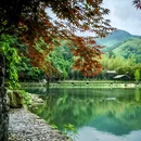 上海村 - 绍兴市旅游 缩略图 4