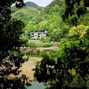 上海村 - 绍兴市旅游 缩略图 8