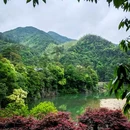 上海村 - 绍兴市旅游 缩略图 7