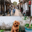 书圣故里 - 绍兴市旅游 缩略图 6