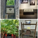 定州文庙 - 保定市旅游 缩略图 7
