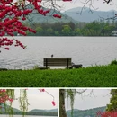 苏堤 - 杭州市旅游 缩略图 2