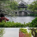 苏堤 - 杭州市旅游 缩略图 1