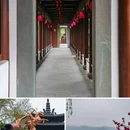 苏堤 - 杭州市旅游 缩略图 6
