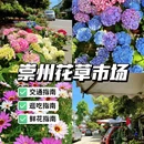 崇州站 - 成都市旅游 缩略图 1