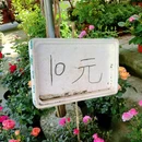 崇州站 - 成都市旅游 缩略图 7