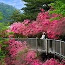 麻城龟峰山景区 - 黄冈市旅游 缩略图 4