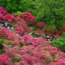 麻城龟峰山景区 - 黄冈市旅游 缩略图 1