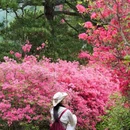 麻城龟峰山景区 - 黄冈市旅游 缩略图 8