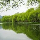 浴鹄湾 - 杭州市旅游 缩略图 6
