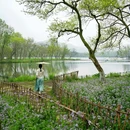 浴鹄湾 - 杭州市旅游 缩略图 7