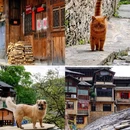石板镇 - 贵阳市旅游 缩略图 6