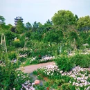 星球花园 - 合肥市旅游 缩略图 8