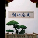 承天禅寺 - 泉州市旅游 缩略图 7