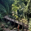 十丈洞景区-赤水大瀑布 - 遵义市旅游 缩略图 5