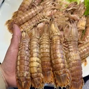 宅小馆大连海鲜大连菜(长江路店) - 大连旅游 缩略图 4