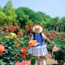 杨春湖城市生态公园 - 武汉市旅游 缩略图 7