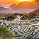 云和梯田景区 - 丽水市旅游 缩略图 2