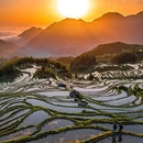 云和梯田景区 - 丽水市旅游 缩略图 4