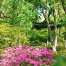 逍遥津公园 - 合肥市旅游 缩略图 3