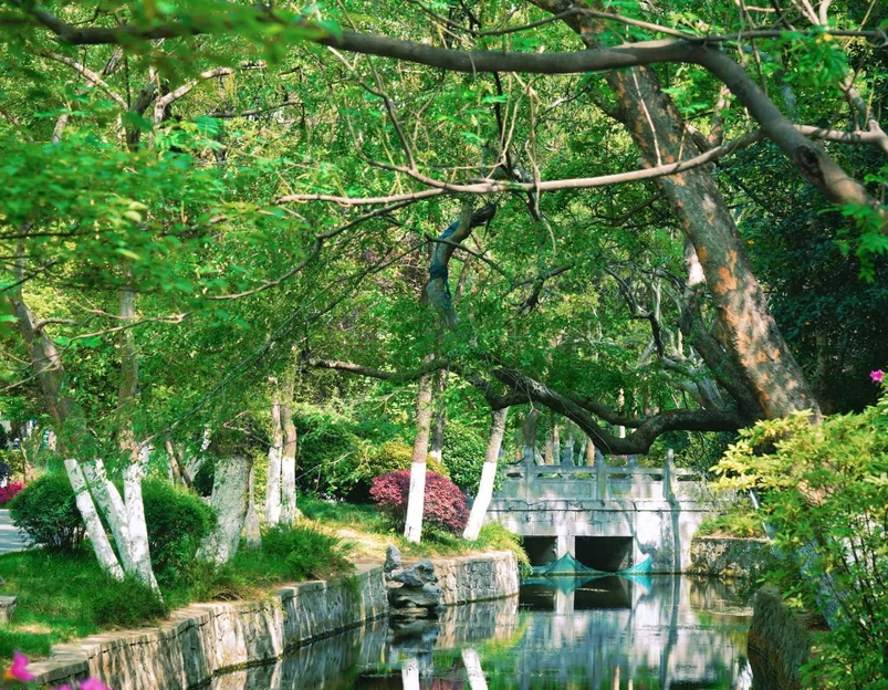 逍遥津公园 - 合肥市旅游 1