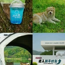 清和湾景区 - 湖州市旅游 缩略图 3