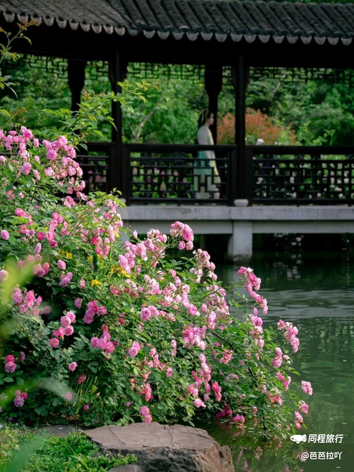 虎丘风景区-西门 - 苏州市旅游