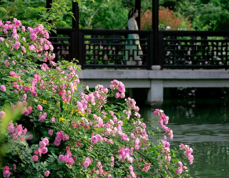 虎丘风景区-西门 - 苏州市旅游 1