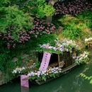 虎丘风景区-西门 - 苏州市旅游 缩略图 8