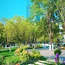 天鹅湖 - 合肥市旅游 缩略图 4