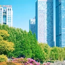 天鹅湖 - 合肥市旅游 缩略图 5