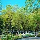 天鹅湖 - 合肥市旅游 缩略图 9
