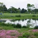 永安湖城市森林公园 - 成都市旅游 缩略图 8