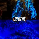 天津极地海洋公园 - 天津市旅游 缩略图 6