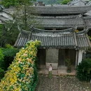 顺溪镇岭后村游客服务中心 - 温州市旅游 缩略图 3